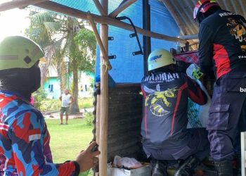 Warga Bintan Temukan Sarang Lebah Madu di Dalam Lemari