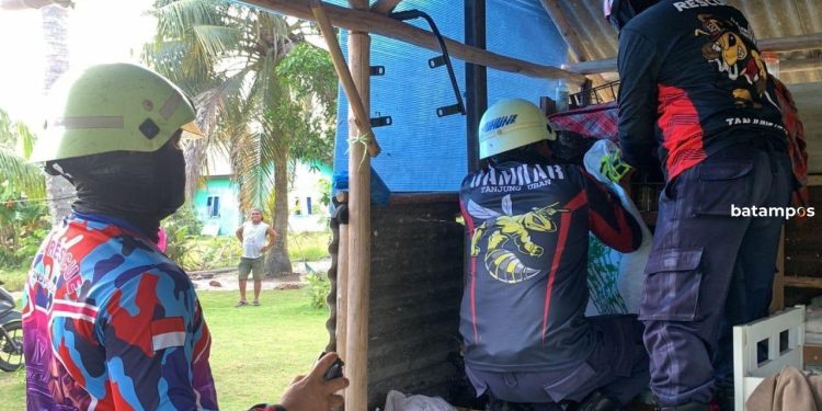 Warga Bintan Temukan Sarang Lebah Madu di Dalam Lemari
