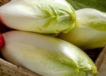 9 Manfaat Sawi Putih untuk Kesehatan dan Sayuran Murah dengan Banyak Khasiat