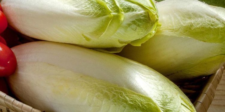 9 Manfaat Sawi Putih untuk Kesehatan dan Sayuran Murah dengan Banyak Khasiat