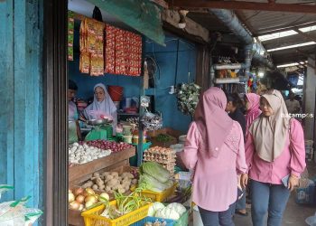 Telur Ayam Langka di Siantan, Peternak Lokal Andalkan Pasokan dari Luar Daerah
