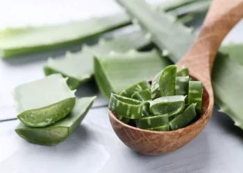 Manfaat Lidah Buaya untuk Asam Lambung dan Meredakan GERD