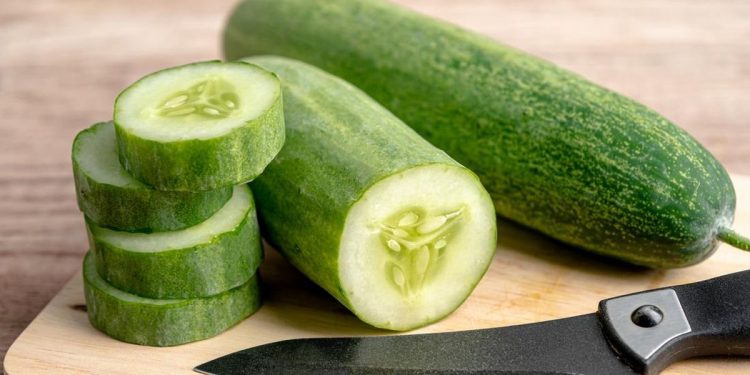 Jangan Campurkan Mentimun dengan 5 Makanan Ini Karena Bisa Masalah Pencernaan