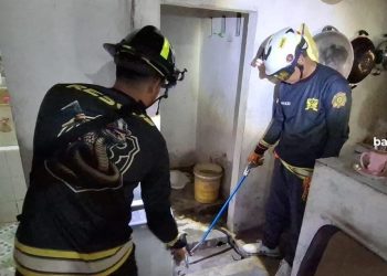 Evakuasi Ular Kobra oleh Damkar di Rumah Dinas TNI AL Bintan