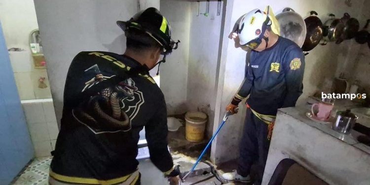 Evakuasi Ular Kobra oleh Damkar di Rumah Dinas TNI AL Bintan