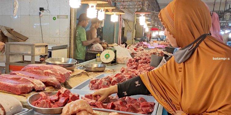 Sudah Sebulan Daging Sapi Beku Tidak Ada di Batam