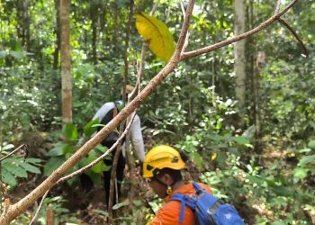 Sepekan Mencari Gaharu di Hutan Bukit Bedung, 3 Warga Natuna Hilang