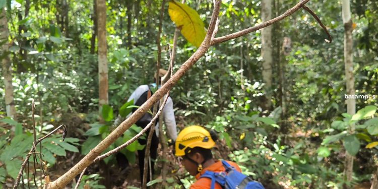 Sepekan Mencari Gaharu di Hutan Bukit Bedung, 3 Warga Natuna Hilang