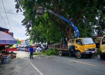 Cegah Bahaya Pengelola Sampah di Karimun Pangkas Dahan Pohon di Jalan Utama