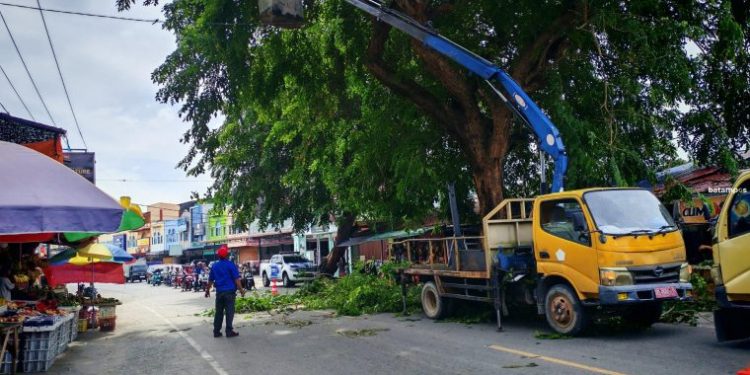 Cegah Bahaya Pengelola Sampah di Karimun Pangkas Dahan Pohon di Jalan Utama