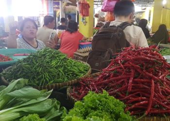 Harga Bawang Naik di Karimun, Suasana Pasar Sepi Pembeli