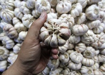 5 Manfaat Bawang Putih untuk Pria Tingkatkan Stamina dan Libido