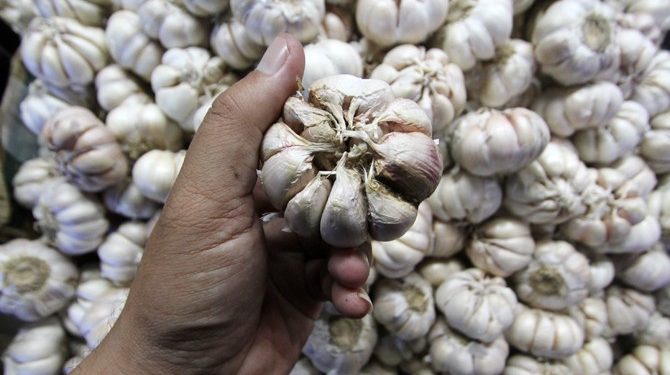 5 Manfaat Bawang Putih untuk Pria Tingkatkan Stamina dan Libido
