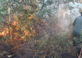 Setengah Hektare Lahan Terbakar di Jalan Raya Busung, Kepri
