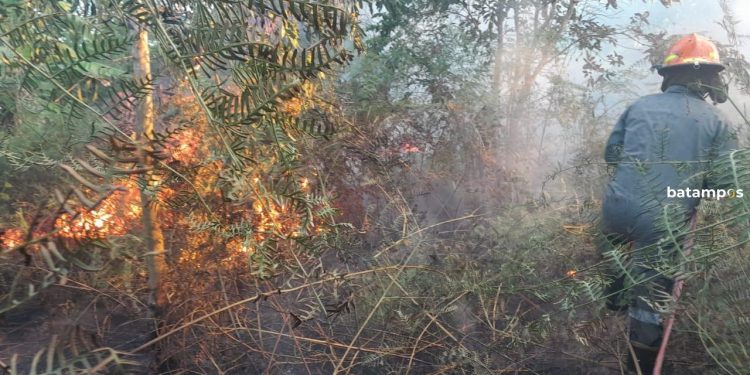 Setengah Hektare Lahan Terbakar di Jalan Raya Busung, Kepri