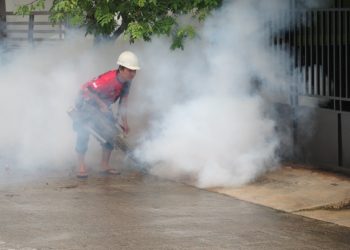 Warga Marina Cemas, Kasus DBD Meningkat Saat Musim Hujan