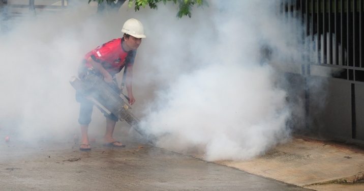 Warga Marina Cemas, Kasus DBD Meningkat Saat Musim Hujan
