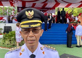 Pemerataan Pembangunan Infrastruktur di Pulau Kecil Batam Menurut Amsakar