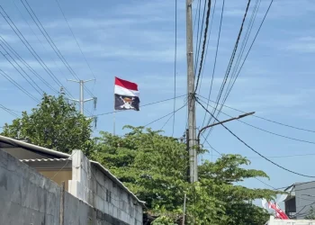Presiden Prabowo Tak Masalah Pengibaran Bendera One Piece, DPR Imbau Publik Fokus Merah Putih HUT RI