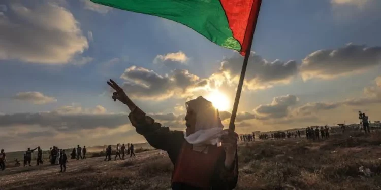 AS Menyuruh Prancis untuk Tinjau Rencana Pengakuan Negara Palestina