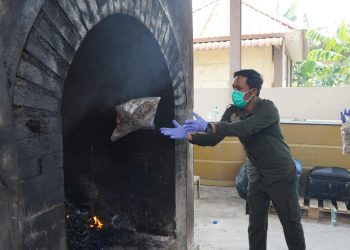 Ribuan Satwa Ilegal Dimusnahkan, Karantina Berantas Perdagangan Tak Berizin