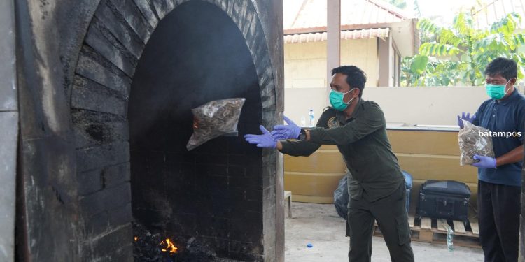 Ribuan Satwa Ilegal Dimusnahkan, Karantina Berantas Perdagangan Tak Berizin