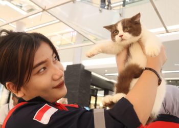 Pameran Satwa di Grand Batam Mall oleh Asosiasi Kucing Indonesia, Edukasi dan Hiburan