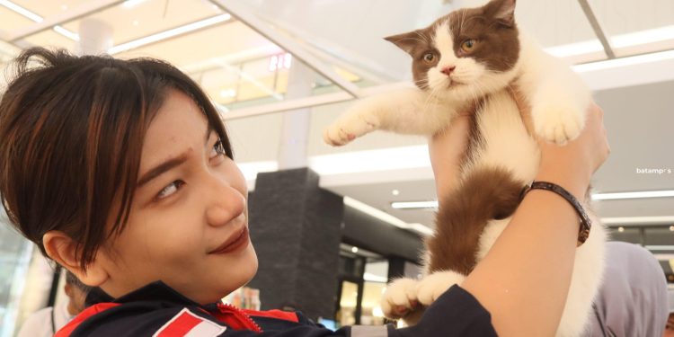Pameran Satwa di Grand Batam Mall oleh Asosiasi Kucing Indonesia, Edukasi dan Hiburan