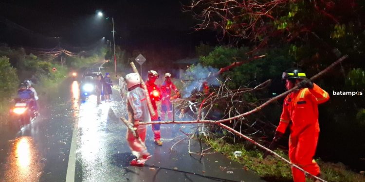 Angin Kencang Tumbangkan Pohon di Bintan, Pengendara Motor Terluka Dilarikan ke Rumah Sakit
