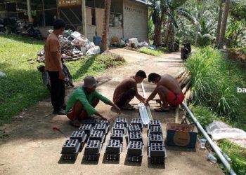 Program Budidaya Lebah dan Ketam Desa Langir Tingkatkan Ekonomi Kepri