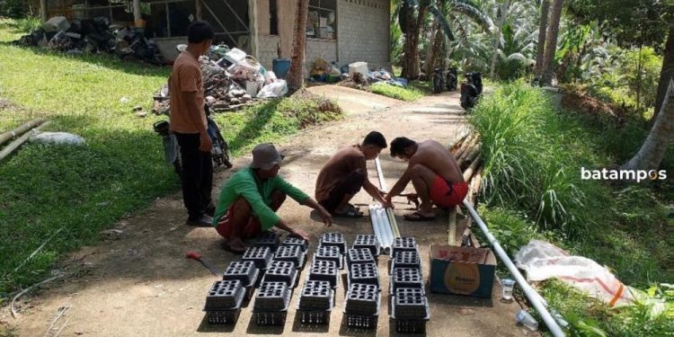 Program Budidaya Lebah dan Ketam Desa Langir Tingkatkan Ekonomi Kepri