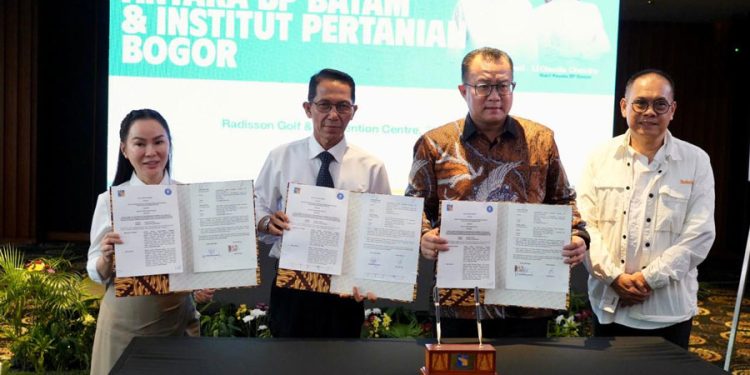 Kolaborasi BP Batam dan IPB untuk Perbaikan Tata Kelola Layanan Perizinan