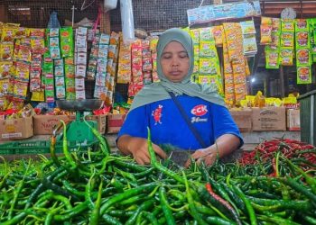 Pengetatan Barang dari Batam, Kelangkaan Buah dan Sayuran di Bintan