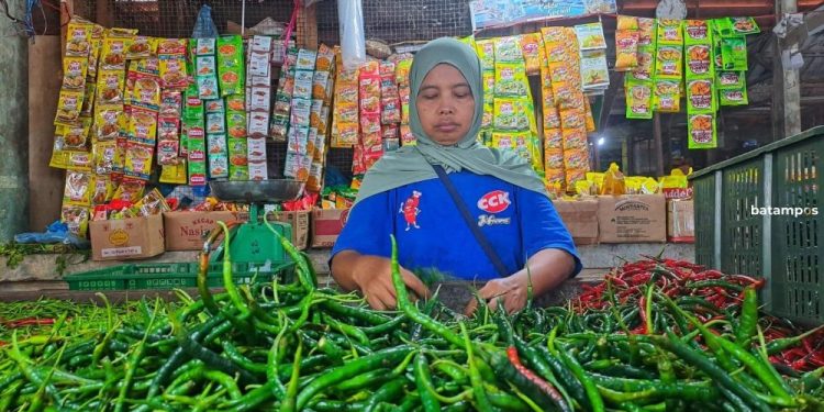 Pengetatan Barang dari Batam, Kelangkaan Buah dan Sayuran di Bintan