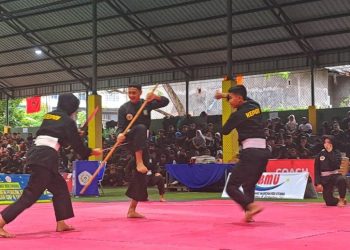 Cari Bibit Unggul, 350 Pesilat Tampil di Turnamen Teluk Sasah Cup Bintan Olahraga
