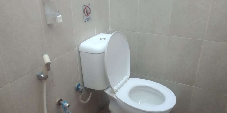 Toilet Jongkok atau Duduk, Mana yang Lebih Sehat? Ini Penjelasannya