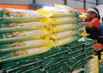 Akhir Bulan 1250 Ton Beras Premium Masuk Kepri