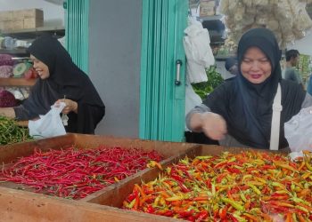 Harga Cabai dan Sayur di Batam Melonjak Tinggi