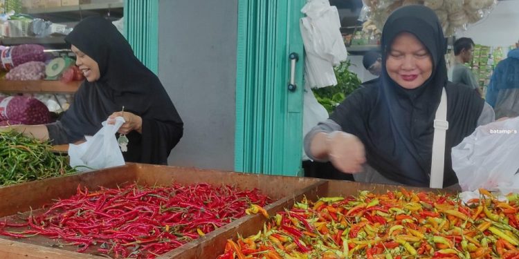 Harga Cabai dan Sayur di Batam Melonjak Tinggi