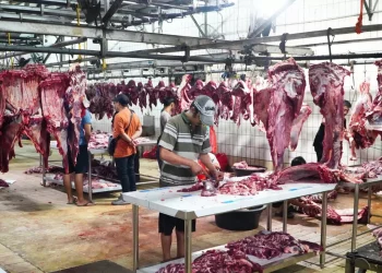 Jamin Stabilitas Harga Daging hingga Ramadan dan Idulfitri dengan Sanksi Tegas