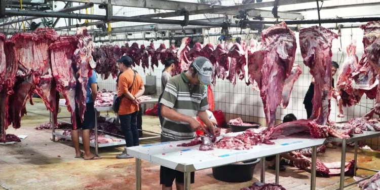 Jamin Stabilitas Harga Daging hingga Ramadan dan Idulfitri dengan Sanksi Tegas