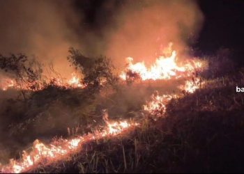 Api Melalap Dua Lokasi Lahan di Karimun Dalam Semalam