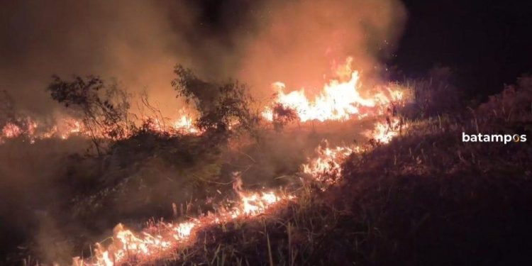 Api Melalap Dua Lokasi Lahan di Karimun Dalam Semalam