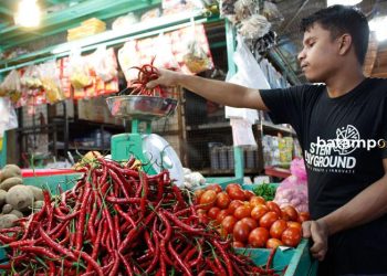 Kenaikan Harga Cabai di Batam, Cabai Rawit Hijau Langka di Pasaran