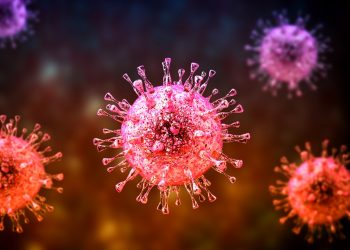 Virus Nipah: Penyakit Mematikan yang Sedang Diperbincangkan