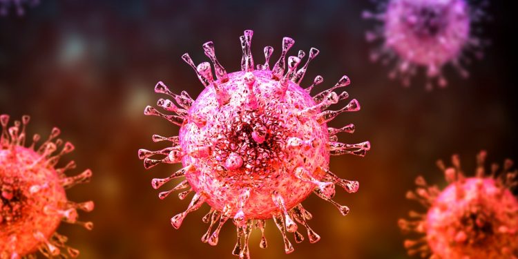 Virus Nipah: Penyakit Mematikan yang Sedang Diperbincangkan