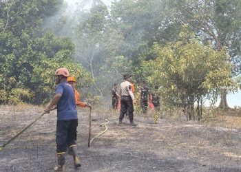 Kebakaran Hutan di Lingga Melanda 1 Hektare Kawasan Pantai Pasir Panjang Kepri