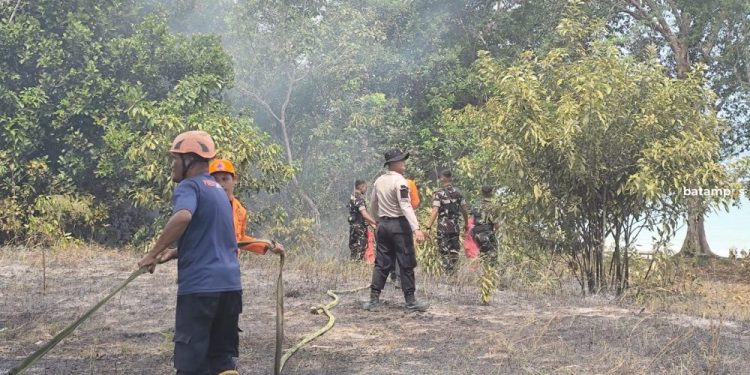 Kebakaran Hutan di Lingga Melanda 1 Hektare Kawasan Pantai Pasir Panjang Kepri
