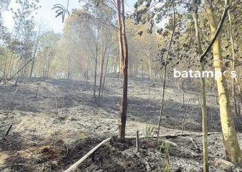 Kebakaran Hutan Mata Kucing Dipastikan Padam Setelah 5 Hari