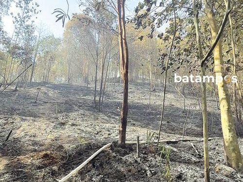 Kebakaran Hutan Mata Kucing Dipastikan Padam Setelah 5 Hari